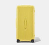 The TravelEase Fashion Trolley Trunk